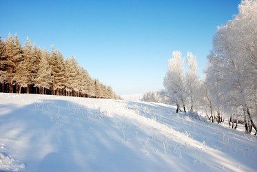 Similar image 500047