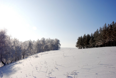 Similar image 500050