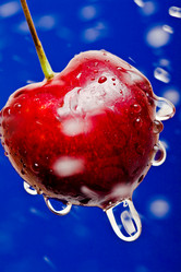 Similar image 500052