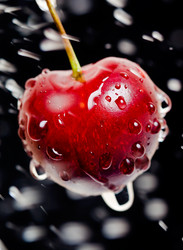 Similar image 500060