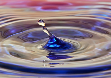 Similar image 500084