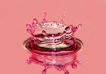 Similar image 500087