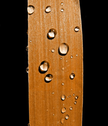 Similar image 500089