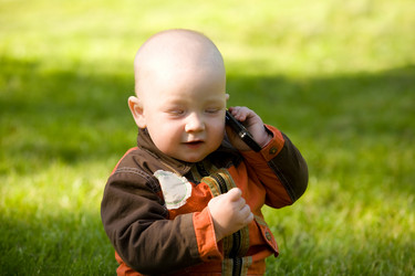 Similar image 500093