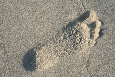 Similar image 500130