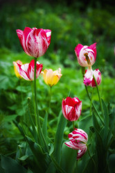 Similar image 500161