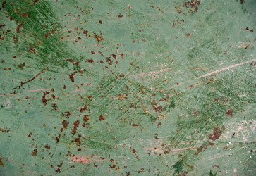 Similar image 500170