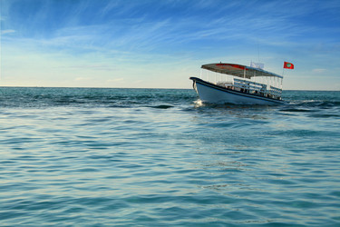 Similar image 500266