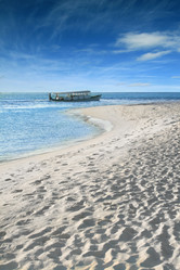 Similar image 500269