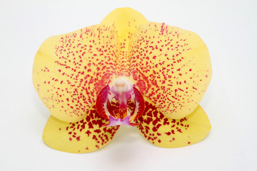 Similar image 500275