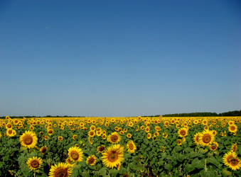 Similar image 500282