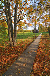 Similar image 500283