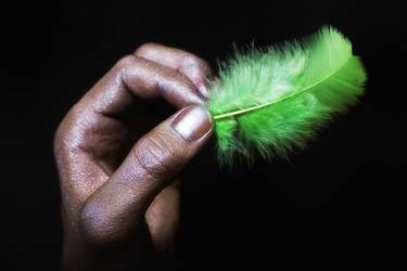 Similar image 500288