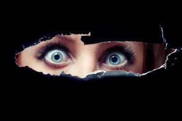 Similar image 500300