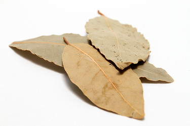 Similar image 500306