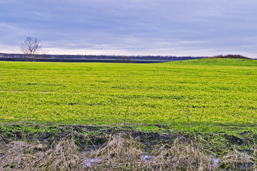 Similar image 500366