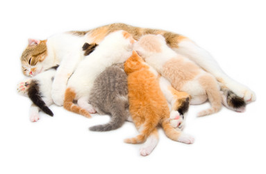 Similar image 500389