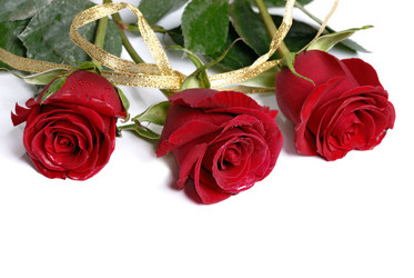 Similar image 500404