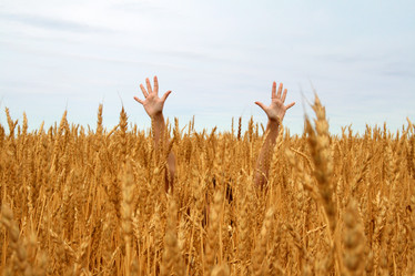 Similar image 500429