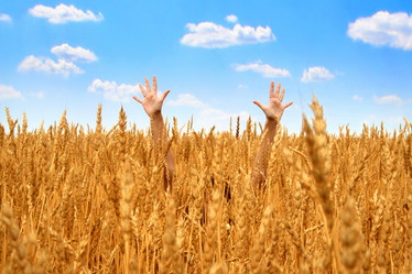 Similar image 500450