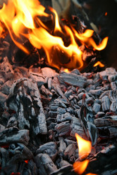 Similar image 500467