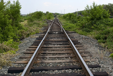 Similar image 500482