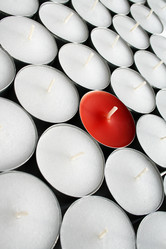 Similar image 500491