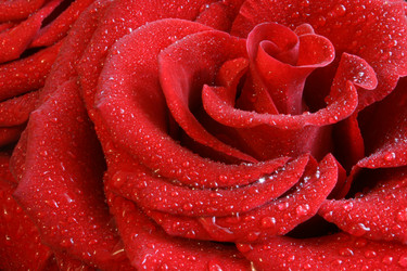 Similar image 500504