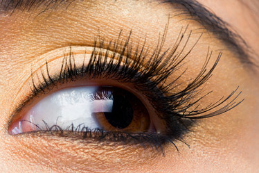 Similar image 500527