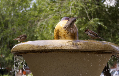 Similar image 500567