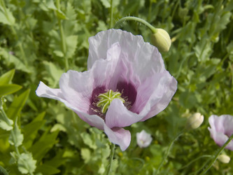 Similar image 500586