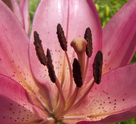 Similar image 500588