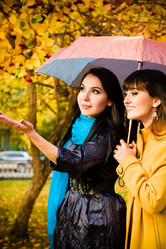 Similar image 500594