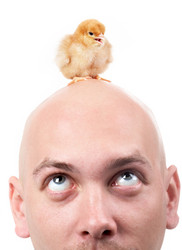 Similar image 500670