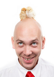 Similar image 500679