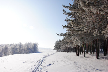 Similar image 500682