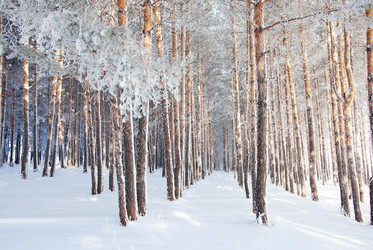 Similar image 500684