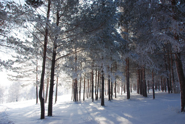 Similar image 500689