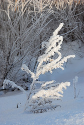 Similar image 500693