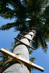 Similar image 500714