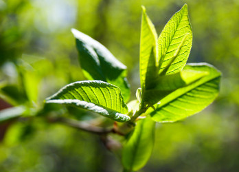 Similar image 500807