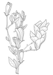 Similar image 500808