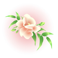 Similar image 500830