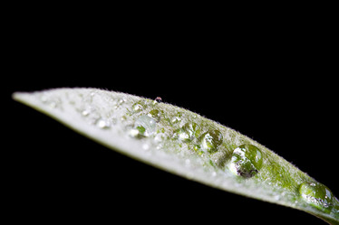 Similar image 500834