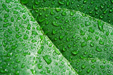 Similar image 500841