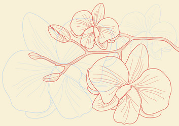 Similar image 500842