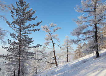 Similar image 500851