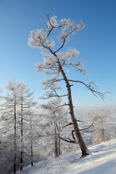 Similar image 500852