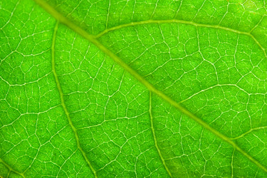 Similar image 500856