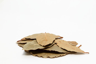 Similar image 500860